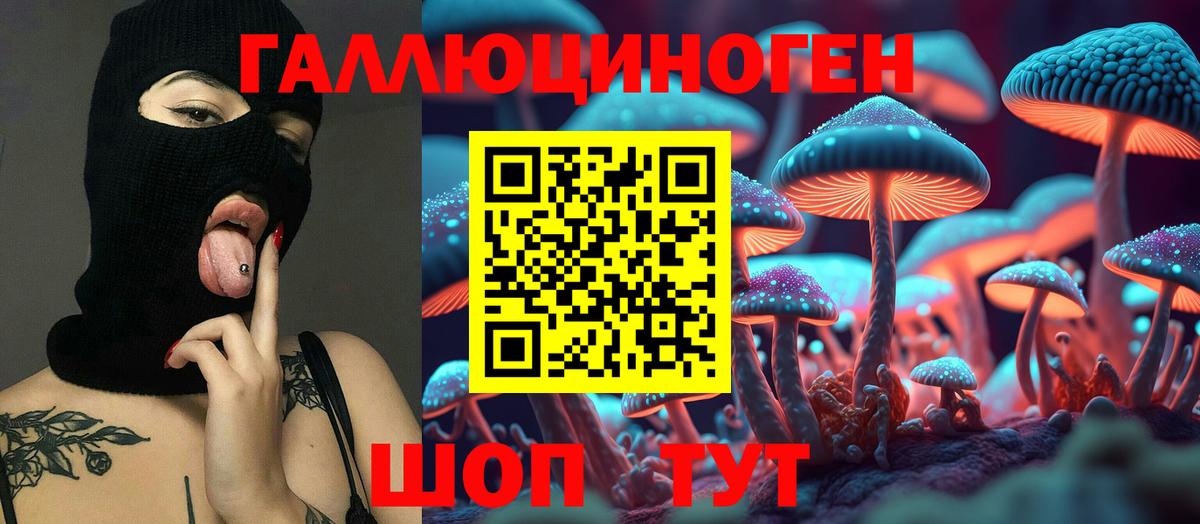 Псилоцибиновые грибы Psilocybe Барабинск