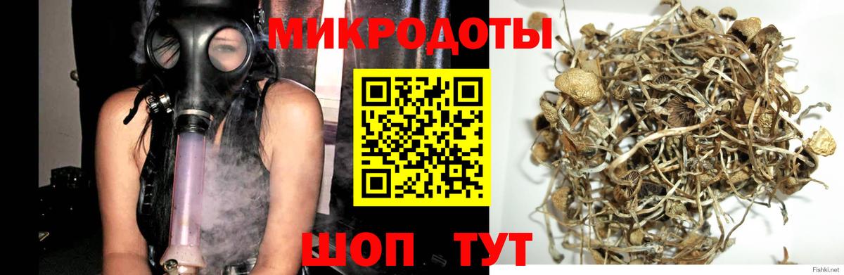 Барабинск  Галлюциногенные грибы GOLDEN TEACHER  Вход с VPN  Псилоцибиновые грибы GOLDEN TEACHER 
